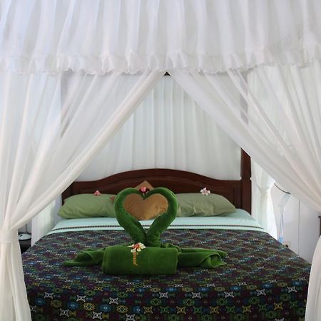 Blue Star Bungalows & Cafe 아메드 외부 사진
