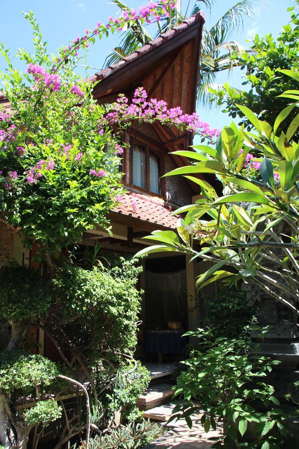 Blue Star Bungalows & Cafe 아메드 외부 사진